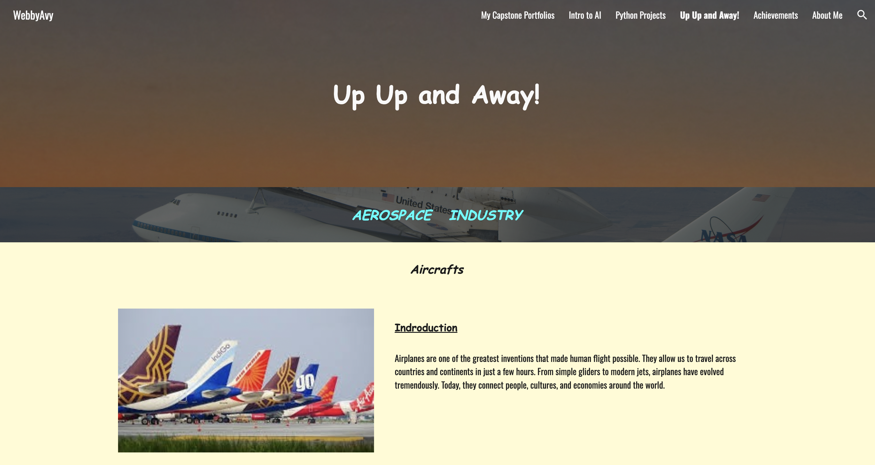 Avyukta's aviation website